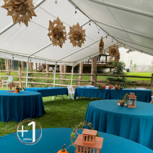An outdoor wedding setup for a reception. There are tables with linens under a tent with decoration. The tables are decorated with centerpieces.